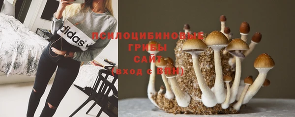 COCAINE Гусиноозёрск